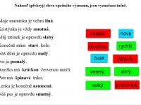 Pracovní list Move&Match